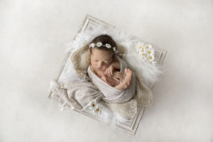 baby photography Perth